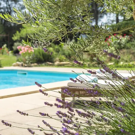 De Caroline * Gargas (Vaucluse)